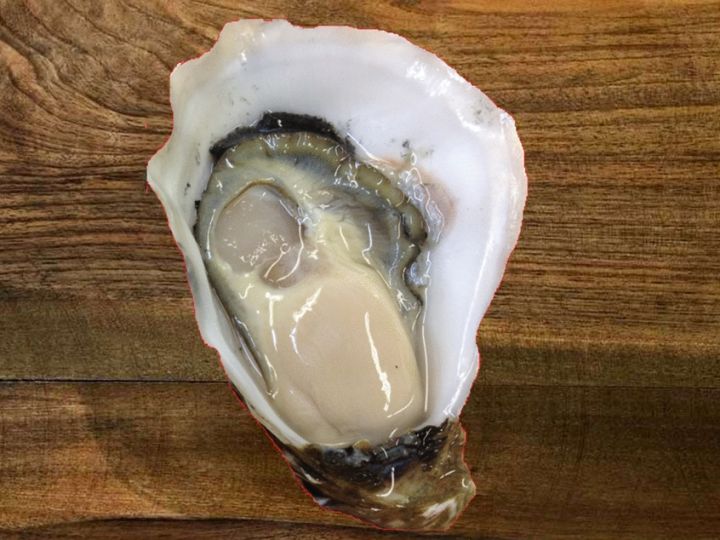 生蚝批发5.jpg